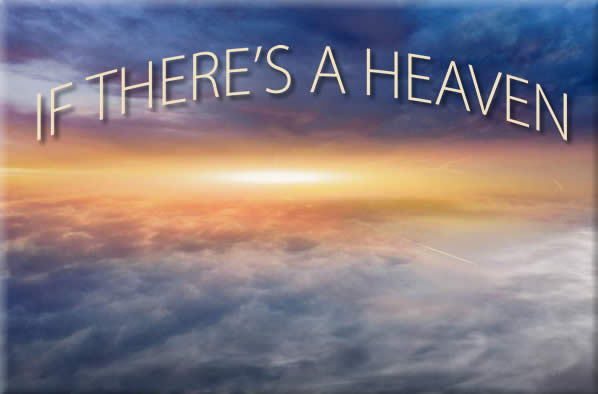 SeñorBangkok's Performance